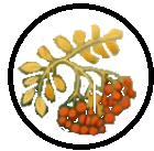 logo transparent 1
